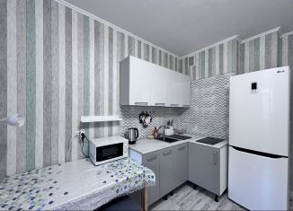 Аренда квартиры студии, 20 м2, Мурино, улица Шувалова, 13/10, ЖК Краски Лета