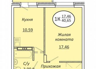 Продажа однокомнатной квартиры, 40.7 м2, Новосибирская область