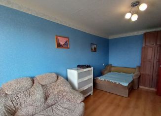 Сдается 1-ком. квартира, 30 м2, Новосибирск, Владимировский спуск, 11, метро Площадь Ленина