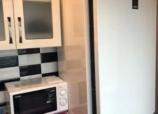 Дом в аренду, 40 м2, Барнаул, улица Эмилии Алексеевой