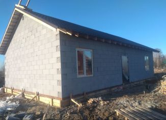 Продам дом, 95 м2, деревня Мокино, Берёзовая улица, 32