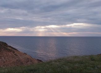 Продажа участка, 10 сот., село Окунёвка, улица Крупской