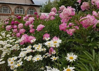 Продаю дачу, 40 м2, СНТ Чайка, 1-я улица