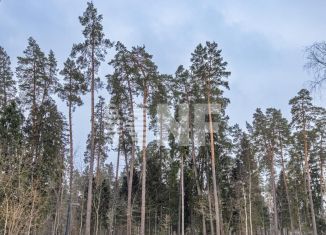 Продается земельный участок, 47.2 сот., деревня Папушево