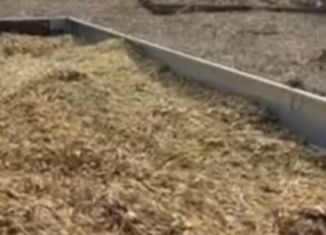 Продаю участок, 6 сот., СНТ Маяк, СНТ Маяк, 204