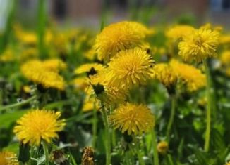 Продам земельный участок, 6 сот., поселок Верхнетемерницкий, Астероидная улица