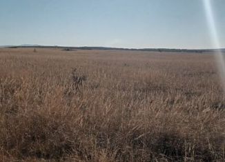 Продаю земельный участок, 236 сот., село Русаковка