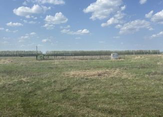 Продажа участка, 12.3 сот., село Старые Камышлы, Новосельская улица, 22