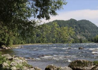 Продажа участка, 75 сот., село Усть-Пыжа