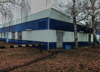 Продается торговая площадь, 309 м2, Заинск, улица Макарова, 22