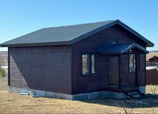 Продаю дом, 63 м2, деревня Каменное, Весенняя улица