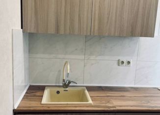 Сдаю 2-комнатную квартиру, 52 м2, Омск, улица Дианова, 19А