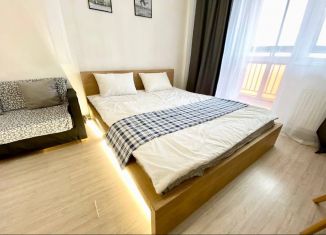 Аренда квартиры студии, 34.2 м2, Екатеринбург, улица Чайковского, 66А