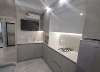 Сдается в аренду 1-ком. квартира, 35 м2, село Небуг, улица Газовиков, 3А/3