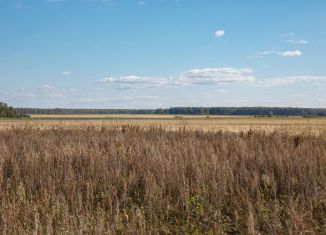 Продаю участок, 7 сот., деревня Ключи, Каштановая улица