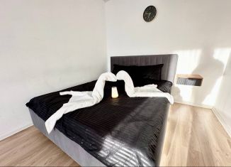 Сдается 1-комнатная квартира, 49 м2, Екатеринбург, Полимерный переулок, 11, метро Динамо