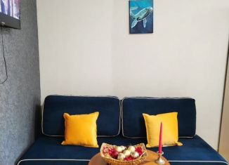 Сдача в аренду квартиры студии, 25 м2, Сочи, садоводческое товарищество Лысая Гора, 422