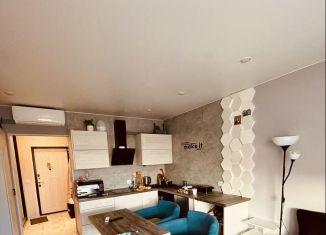 Сдается квартира студия, 24 м2, посёлок Шушары, Вишерская улица, 24