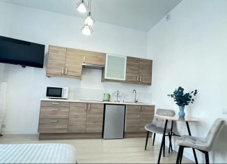 Сдача в аренду квартиры студии, 27 м2, Екатеринбург, улица Академика Ландау, 35