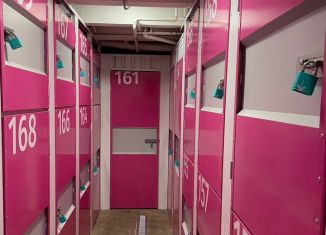 Сдаю в аренду склад, 3 м2, Москва, Большая Набережная улица, 13