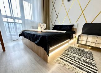 Сдам в аренду квартиру студию, 32.9 м2, Екатеринбург, улица Чайковского, 66А
