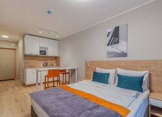 Сдается в аренду квартира студия, 25 м2, посёлок Парголово, Толубеевский проезд, 8к2
