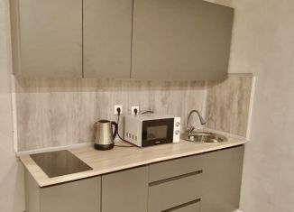 Сдаю в аренду квартиру студию, 24 м2, посёлок Шушары, Новгородский проспект, 2к3