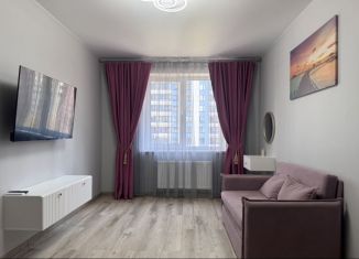 Сдается 1-комнатная квартира, 35 м2, Санкт-Петербург, Лабораторный проспект, Калининский район