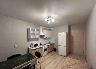 Сдаю 1-ком. квартиру, 40 м2, посёлок Шушары, Московское шоссе, 258к2