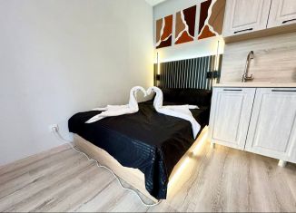 Сдам квартиру студию, 44 м2, Екатеринбург, улица Печатников, 1