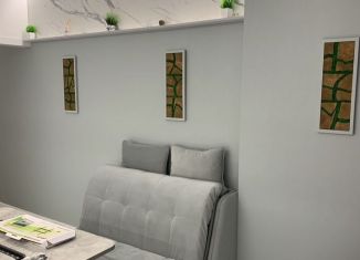 1-ком. квартира в аренду, 39 м2, Краснодар, улица Автолюбителей, 1/Гк3, микрорайон Гидрострой