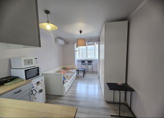 Продаю квартиру студию, 24 м2, Ростов-на-Дону, Пролетарский район, улица Черевичкина, 91Ас2