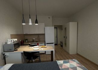 Сдам в аренду квартиру студию, 24.5 м2, деревня Новое Девяткино, Главная улица, 2