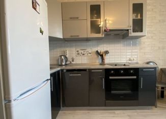 Сдача в аренду квартиры студии, 29 м2, Мурино, проспект Авиаторов Балтики