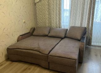 Сдаю в аренду квартиру студию, 32 м2, Кингисепп, улица Воровского, 50к2