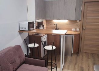 Сдается в аренду квартира студия, 20 м2, Пермь, Самаркандская улица, 145, ЖК Авиатор