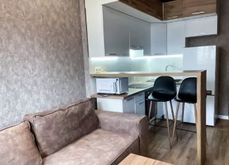 Продам квартиру студию, 23.8 м2, Краснодар, улица им. Героя Яцкова И.В., 15к1, микрорайон Губернский