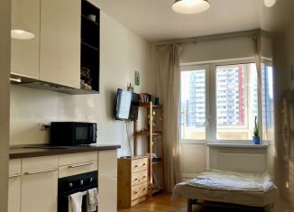 Аренда квартиры студии, 22 м2, посёлок Шушары, Вилеровский переулок, 6