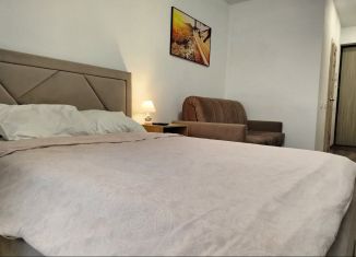 Сдается в аренду квартира студия, 28 м2, Екатеринбург, улица Шаумяна, 20