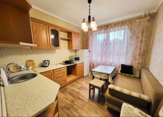 Сдам однокомнатную квартиру, 40 м2, посёлок Шушары, Ростовская улица, 23к1