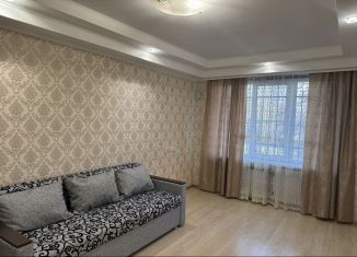 Сдается двухкомнатная квартира, 44 м2, Санкт-Петербург, улица Тамбасова, 24к2, муниципальный округ Константиновское