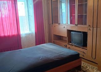 Аренда 1-комнатной квартиры, 28 м2, Дзержинск, улица Будённого, 4Б
