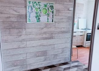 Продажа однокомнатной квартиры, 30.3 м2, Елабуга, Молодёжная улица, 2