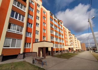 Продаю квартиру студию, 27 м2, село Михайловка, Сливовая улица, 2