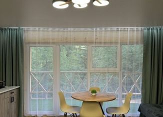 Сдача в аренду дома, 25 м2, Республика Алтай