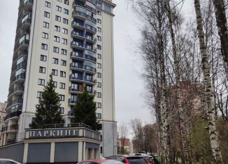 Сдам в аренду квартиру студию, 26 м2, Санкт-Петербург, улица Лёни Голикова, 23к9, Кировский район