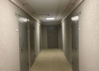Продается однокомнатная квартира, 36.2 м2, Мурино, Графская улица, 6к3, ЖК Лампо