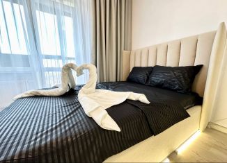 Сдаю квартиру студию, 32 м2, Екатеринбург, улица Печатников, 3