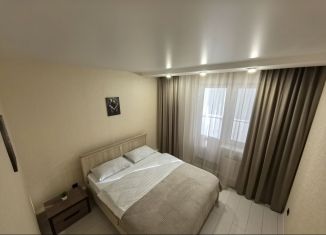 Аренда 1-ком. квартиры, 40 м2, Оренбург, улица Братьев Хусаиновых, ЖК Акварель