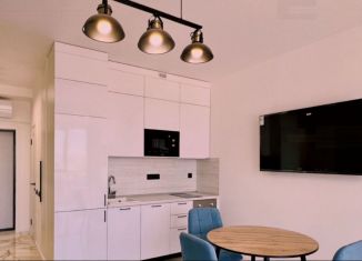 Продаю квартиру студию, 10.1 м2, Москва, Автозаводская улица, 13/1